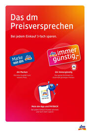 Dm Flugblatt Seite 12