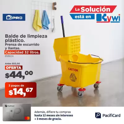 Kywi (válido hasta 31-08)