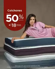 Catálogo Suburbia Página 1