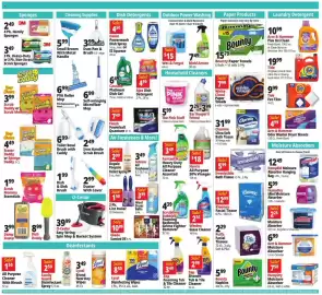 Ocean State Job Lot flyer week 35 Page 13: Irresistible Bath Tissue €5,99, Bounty paper towels €15,79