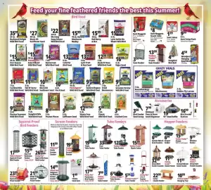 Ocean State Job Lot flyer week 35 Page 19: Morning Song peanuts €8,50, Wagners gourmet waste free wild bird food €12,99