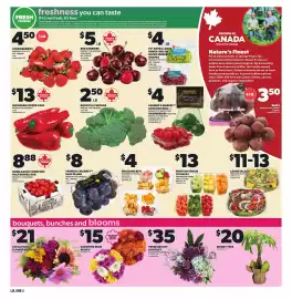 Loblaws flyer week 35 Page 2: Farmer's Market avocado bag €4,00, Farmer's Market blue plums €8,00