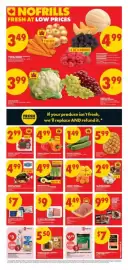 No Frills flyer week 35 Page 2: Bourne avocados €4,99, PC blue berry ground chicken or turkey €9,00
