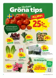 Stora Coop reklamblad vecka 36 Sida 4: Rosor 9-pack €79,90, Romansallat €25,00
