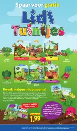 Lidl folder week 36 Pagina 4