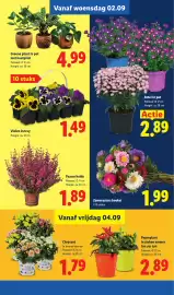 Lidl folder week 36 Pagina 42