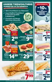 Billa Flugblatt woche 35 Seite 11