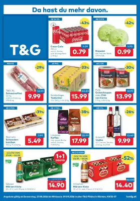 T&G Flugblatt
