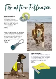 Tchibo Eduscho Flugblatt Seite 24: Hunde-Tauspielzeug €9,99, Hunde-Leuchtweste €9,99