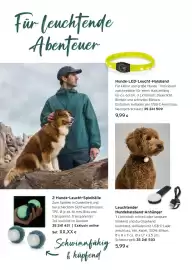 Tchibo Eduscho Flugblatt Seite 26: Hunde-LED-Leucht-Halsband €9,99, Leuchtender Hundehalsband-Anhänger €5,99