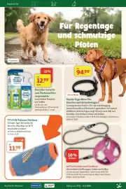 Fressnapf Prospekt Seite 16
