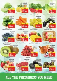 Nesto catalogue Page 2