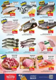 Nesto catalogue Page 21