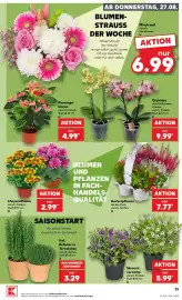 Kaufland Prospekt woche 35 Seite 25