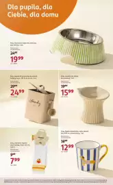 Rossmann gazetka tydzień 35 Strona 7: Eloy pojemnik na proszek do prania €24,99, Eloy, ceramiczna miska dla zwierząt €15,99