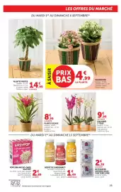 Catalogue Super U page 25: KALANCHOE €4,99, EASYPOP POPCORN micro-ondes €2,89