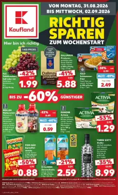 Kaufland (gültig bis 2-09)