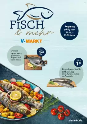 V Markt Prospekt (gültig bis 16-09)