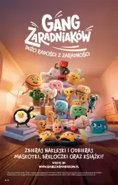 Biedronka gazetka tydzień 35 Strona 48