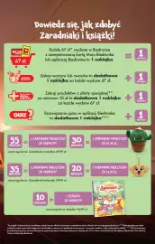 Biedronka gazetka tydzień 35 Strona 49