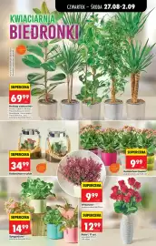 Biedronka gazetka tydzień 35 Strona 77