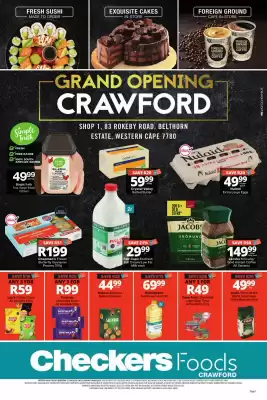 Checkers (valid until 6-09)
