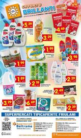 Volantino Centro Commerciale Discount Pagina 10: Asciugatutto Foxy €1,99, Bagnodoccia Dove €2,39