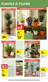 Catalogue Carrefour Market page 53: UAB Terreau universel €9,98, Fougère €4,99