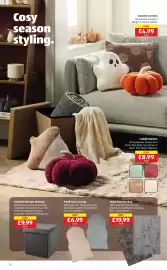 Aldi leaflet | Special Buys Page 10: Foldable Storage Ottoman €9,99, Small Faux Fur Rug €6,99