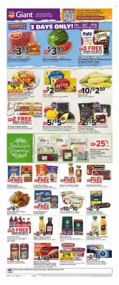 Giant Food (valid until 3-09)