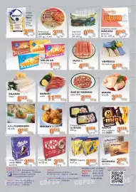Catálogo Congelados Copos Página 2: Bolitas FLAMENQUIN de pollo €9,12, Gambón crudo €11,99