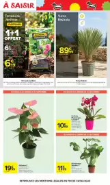 Catalogue Carrefour Drive page 64