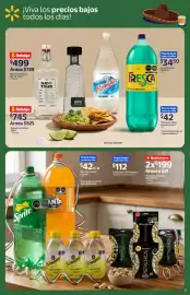 Catálogo Walmart Express Página 7