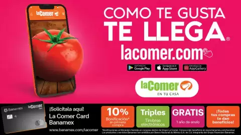 Folleto La Comer Página 15