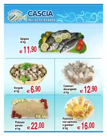 Volantino Centro Oceano Pagina 3: Platessa panata €22,00, Calamari decongelati €12,90