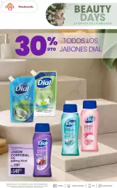 Catálogo Woolworth Página 3: Dial - jabon corporal gojiberry €48,93