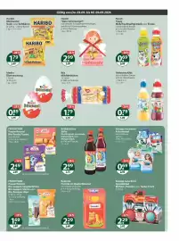 V Markt Prospekt woche 36 Seite 13