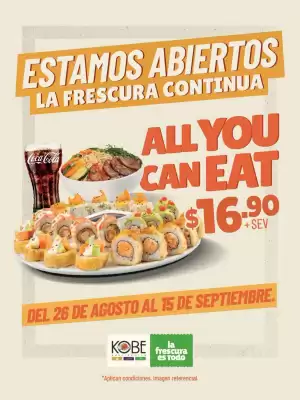 Kobe Sushi Express (válido hasta 17-09)