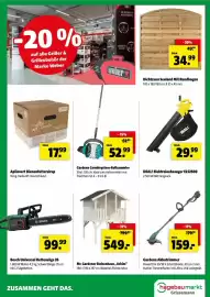 Der Grissemann Flugblatt woche 35 Seite 10: DEAL! Elektrolaubsauger ELS2500 €29,99, Dichtzaun Seeland Mit Rundbogen €34,99