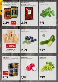 Der Grissemann Flugblatt woche 35 Seite 3: Conte deCesare Pesto Delicato €2,29, Teigwaren der Marke Campofilone
