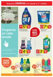 Catálogo Consum Página 22: Asevi friegasuelos €2,09, Dixan detergente cápsulas €7,99