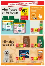 Catálogo Consum Página 23: Spontex bayeta microfibra XXL €3,45