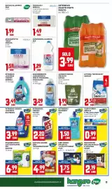 Volantino Kanguro Pagina 11: Detergente pavimenti Ace €1,50, Cibo umido per gatto Le Ghiottonerie Felix €1,75