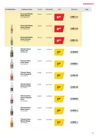 Eurogast Grissemann Flugblatt Seite 103