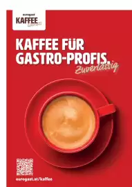 Eurogast Grissemann Flugblatt Seite 71