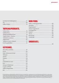 Eurogast Grissemann Flugblatt Seite 9