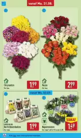 ALDI folder week 36 Pagina 54