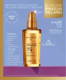 Catálogo L'bel Página 100