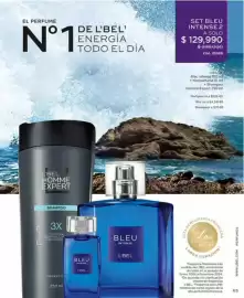 Catálogo L'bel Página 63