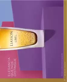 Catálogo L'bel Página 99